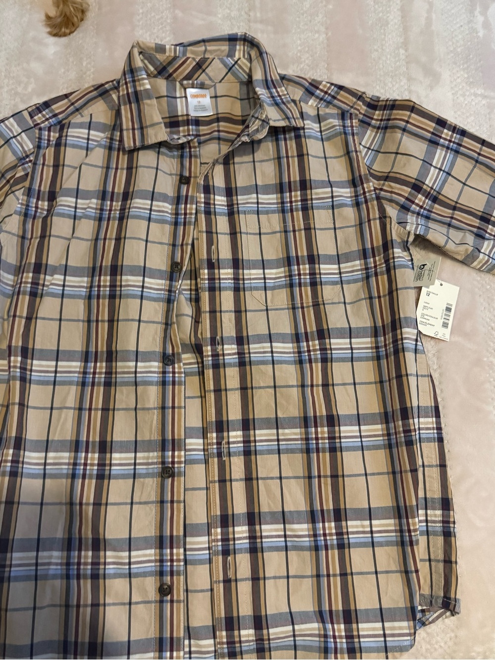 Gymboree Men's Beige and Blue Plaid Button-Down Shirt